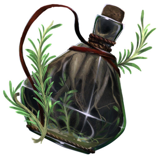 Infusión de romero