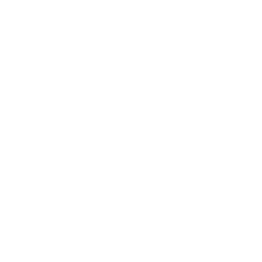 Visionario