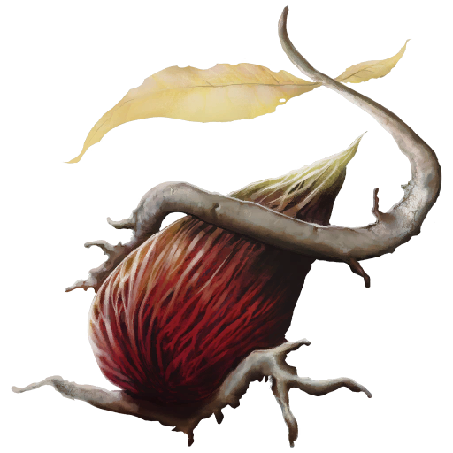 Semilla de la continuidad