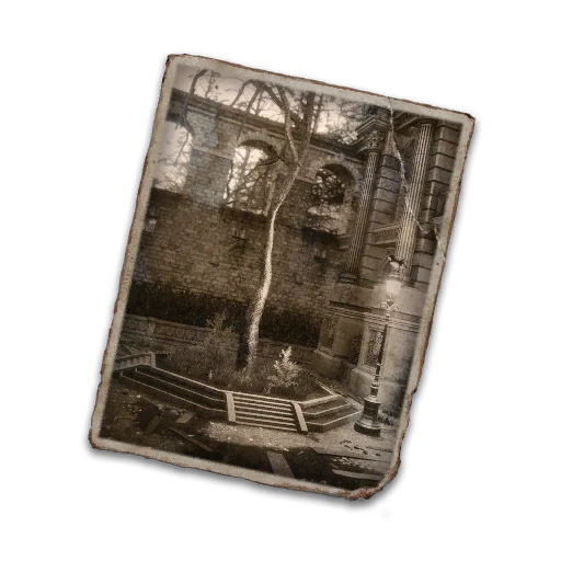 Tesoro de Rosaura: foto del árbol de la amistad