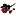 장미꽃