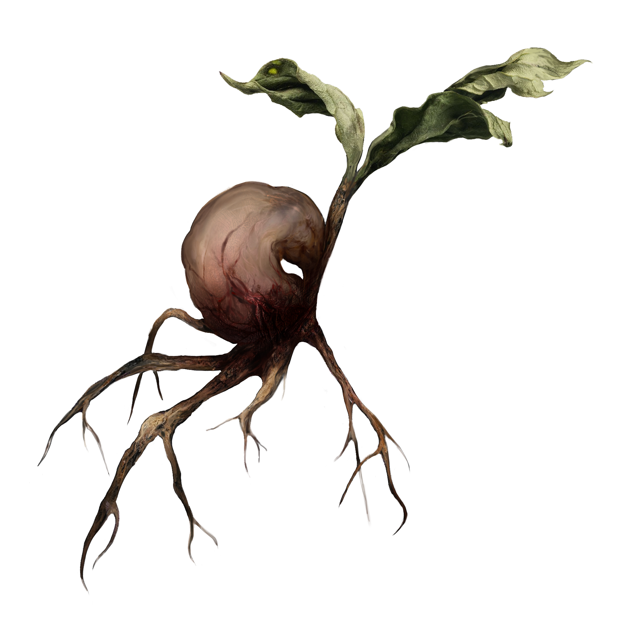 Semilla de sangre