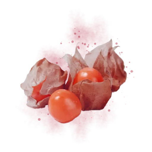 Fruta farol carmesí