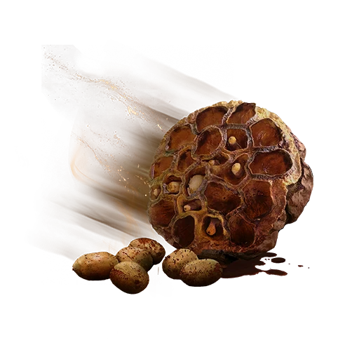 Semilla de loto topacio