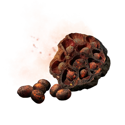 Semilla de loto de fuego