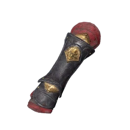 Avambrazos bordados