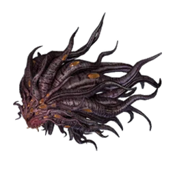 Capucha de dragón verdadero